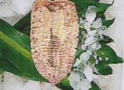 image017.png image017.png